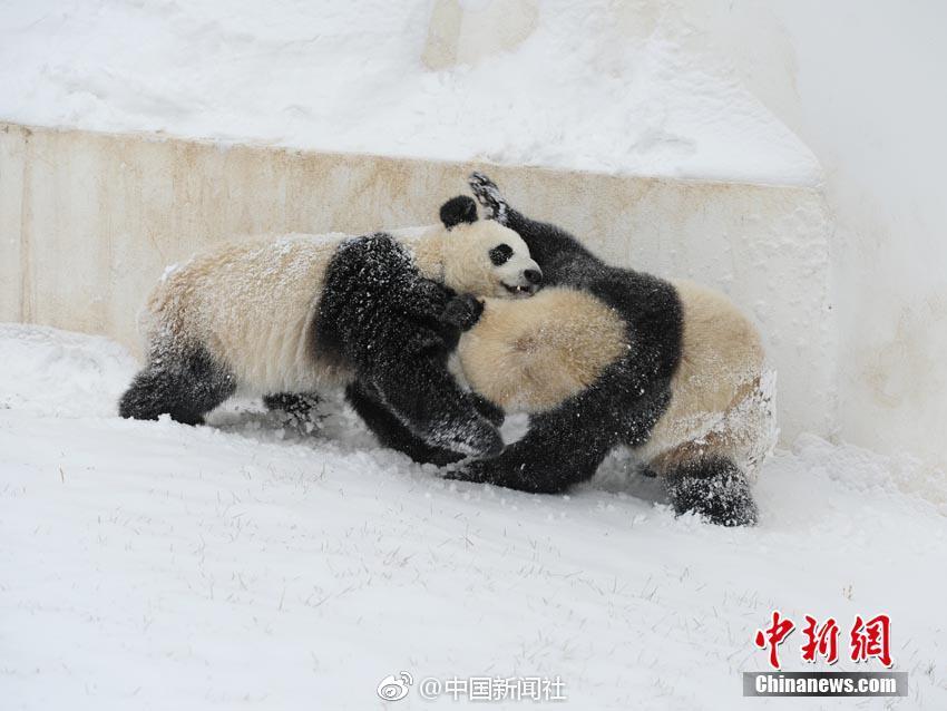 曼聯(lián)高層齊聚一堂親自督戰(zhàn)，滕哈赫壓力山大