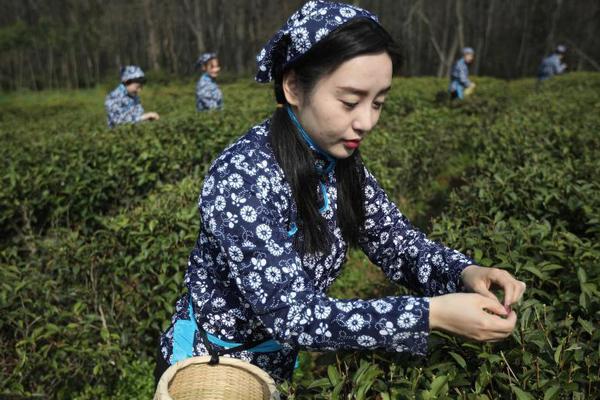 研究人員發(fā)現(xiàn)提高固態(tài)鋰電池性能的方法，助力電動(dòng)汽車(chē)更安全高效