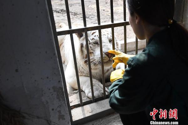 香港恒生指數(shù)收漲6.2% 中資券商股和內(nèi)房股全線(xiàn)爆發(fā)